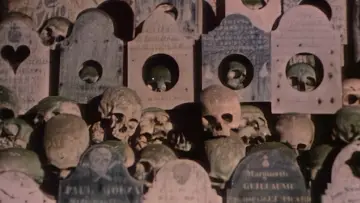 Zasłona do filmu "Faces of Death II" #1636924