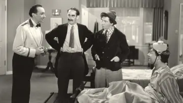 Zasłona do filmu "Panika w hotelu" #1157242