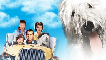 Zasłona do filmu "Na psa urok" #435486