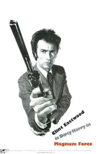Plakat do filmu "Siła Magnum" #873888