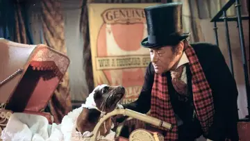 Zasłona do filmu "Doktor Dolittle" #385007