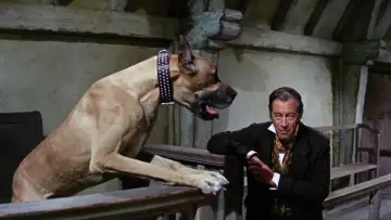 Zasłona do filmu "Doktor Dolittle" #385029