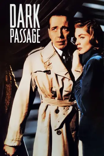 Plakat do filmu "Mroczne przejscie" #228634