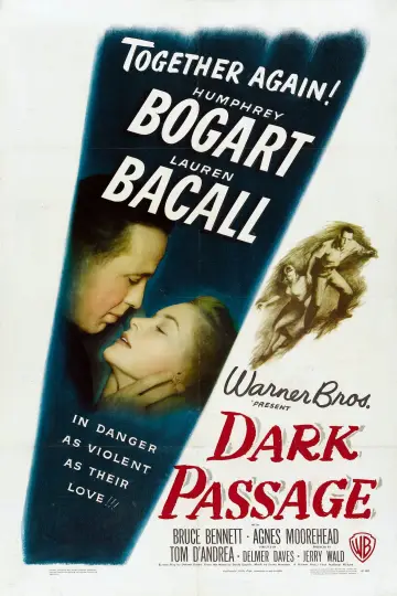 Plakat do filmu "Mroczne przejscie" #228636