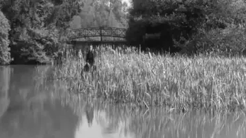 Zasłona do filmu "W kleszczach lęku" #1806891