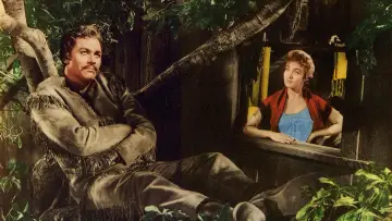 Zasłona do filmu "Siedem narzeczonych dla siedmiu braci" #989926