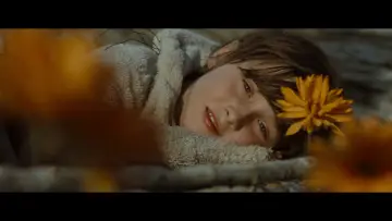 Zasłona do filmu "Gdzie mieszkają dzikie stwory" #1533280