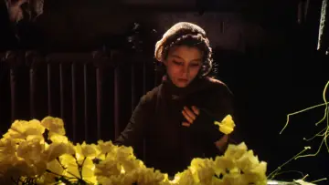 Zasłona do filmu "Niebiańskie Dni" #716414