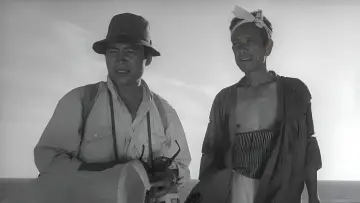 Zasłona do filmu "Kobieta z wydm" #749747