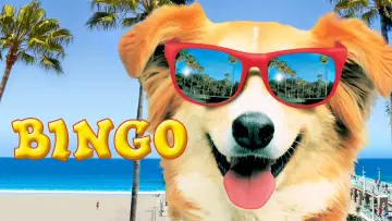 Zasłona do filmu "Bingo" #1074719
