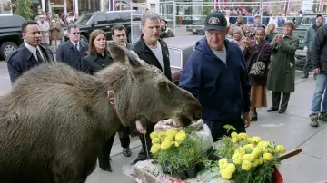 Zasłona do filmu "Witamy w Mooseport" #1527667