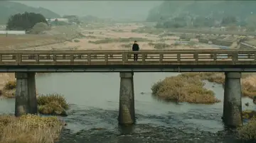 Zasłona do filmu "Pożegnania" #1832188