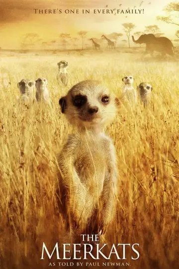 Plakat do filmu "The Meerkats" #1131299