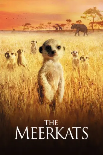 The Meerkats