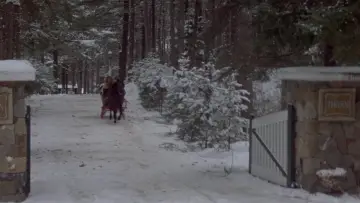 Zasłona do filmu "Omen II" #288032