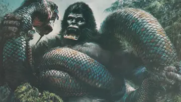 Zasłona do filmu "King Kong" #1738501
