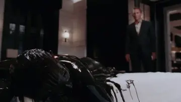 Zasłona do filmu "Quantum of Solace" #1198852