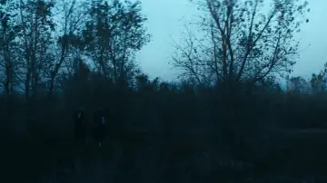 Zasłona do filmu "Wyjęty Spod Prawa Josey Wales" #670928