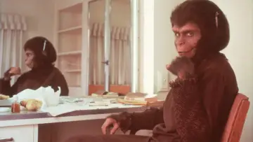 Zasłona do filmu "Behind the Planet of the Apes" #422012