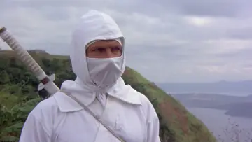 Zasłona do filmu "Wejście Ninja" #432492