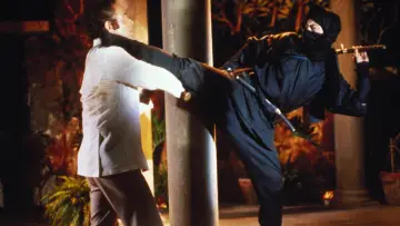 Zasłona do filmu "Wejście Ninja" #432494