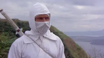Zasłona do filmu "Wejście Ninja" #432498