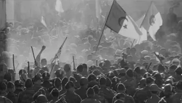 Zasłona do filmu "Bitwa o Algier" #752734