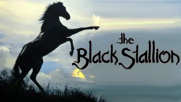 Zasłona do filmu "Czarny Rumak" #1041156