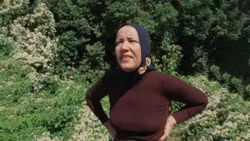 Zasłona do filmu "Szare ogrody" #501018