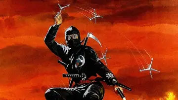 Zasłona do filmu "Zemsta Ninja" #387998