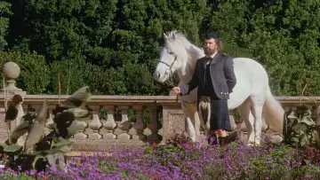 Zasłona do filmu "Jej Wysokość Pani Brown" #695993