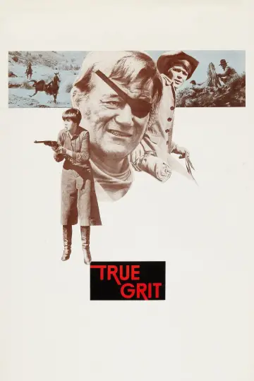 Plakat do filmu "Prawdziwe męstwo" #100899