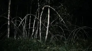 Zasłona do filmu "Antychryst" #323775