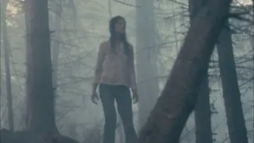 Zasłona do filmu "Antychryst" #723338