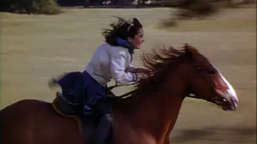 Zasłona do filmu "National Velvet" #1120140