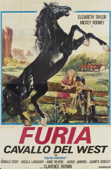 Plakat do filmu "National Velvet" #486245