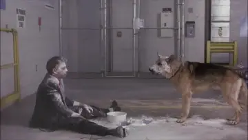 Zasłona do filmu "Corky Romano" #432449