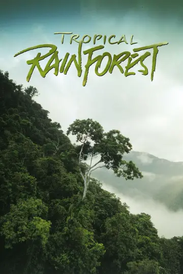 Tropical Rainforest plakat