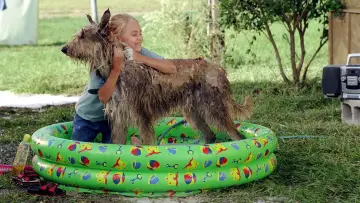 Zasłona do filmu "Dzięki tobie, Winn-Dixie" #1044338