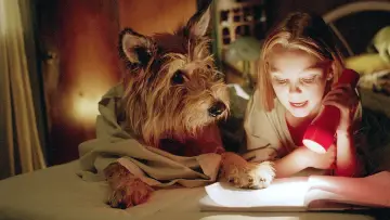 Zasłona do filmu "Dzięki tobie, Winn-Dixie" #1044340