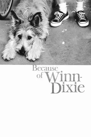 Plakat do filmu "Dzięki tobie, Winn-Dixie" #1203098