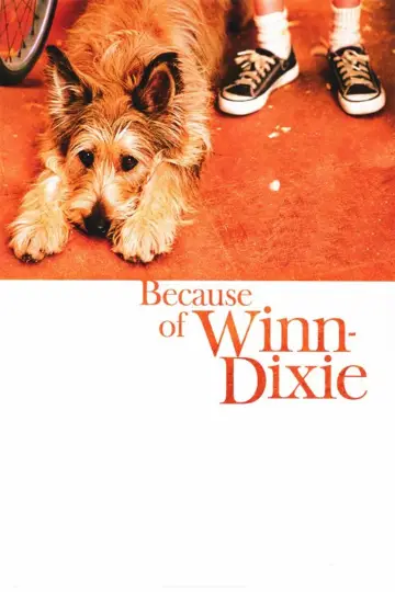 Plakat do filmu "Dzięki tobie, Winn-Dixie" #149046
