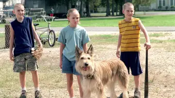 Zasłona do filmu "Dzięki tobie, Winn-Dixie" #467117