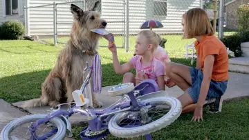 Zasłona do filmu "Dzięki tobie, Winn-Dixie" #467118