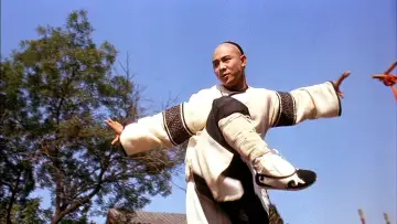 Zasłona do filmu "The Legend of Fong Sai-Yuk II" #380501