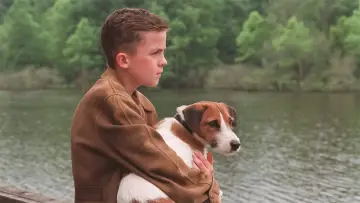 Zasłona do filmu "Mój przyjaciel, Skip" #436438