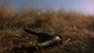 Zasłona do filmu "Candyman 2: Pożegnanie z ciałem" #1020771