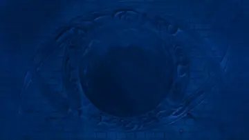 Zasłona do filmu "Dagon" #359510