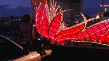 Zasłona do filmu "Showgirls" #606752