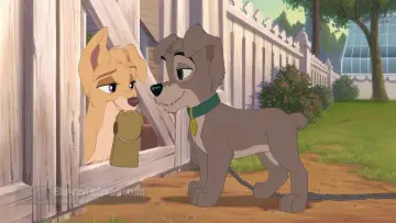 Zasłona do filmu "Zakochany kundel II: Przygody Chapsa" #288426